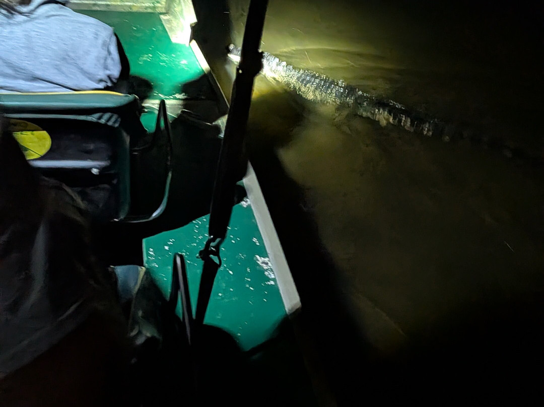 Airboat Express - Tours-Spanish Fort必去景点