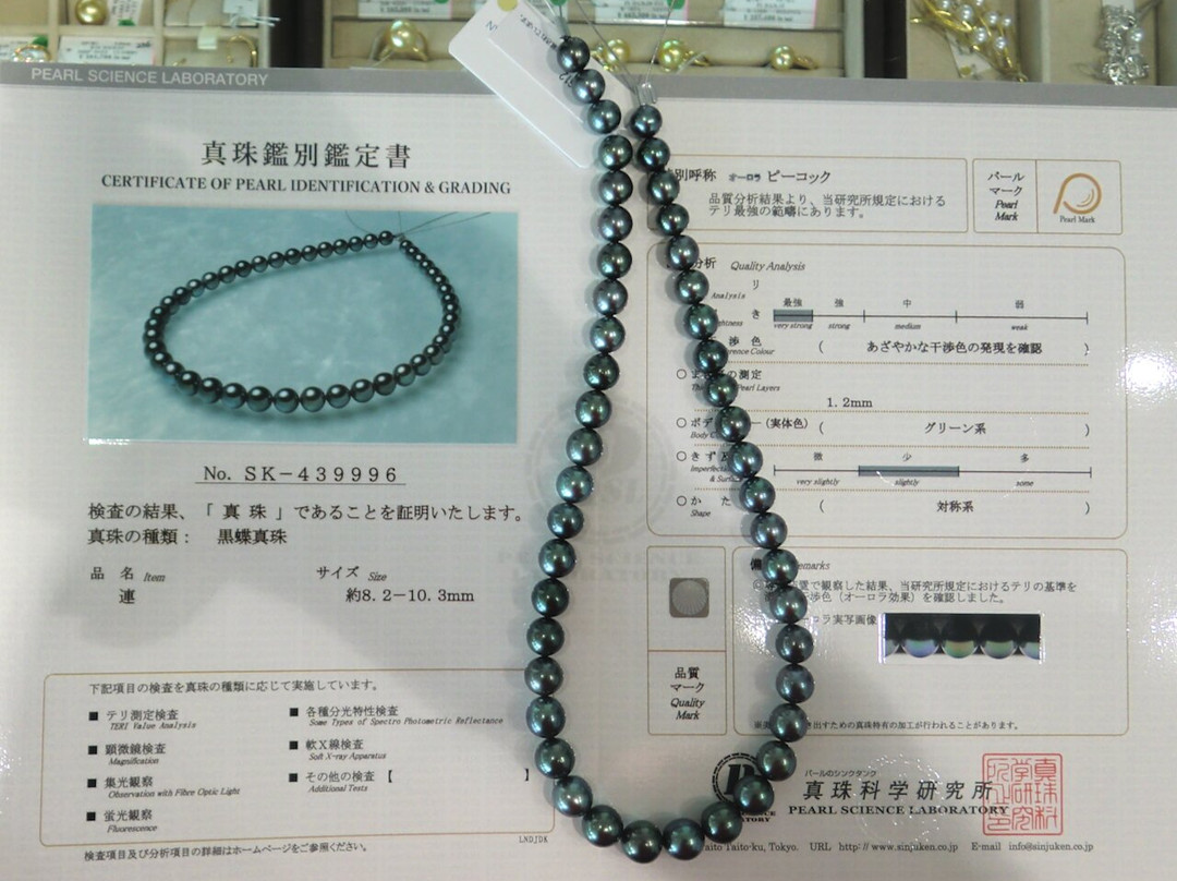 Canilli Pearl