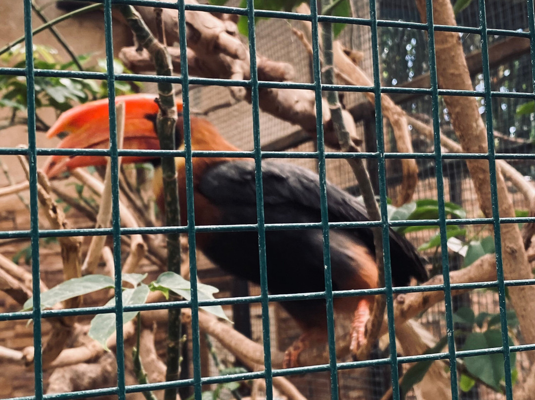 Attica Zoological Park-斯巴达必去景点