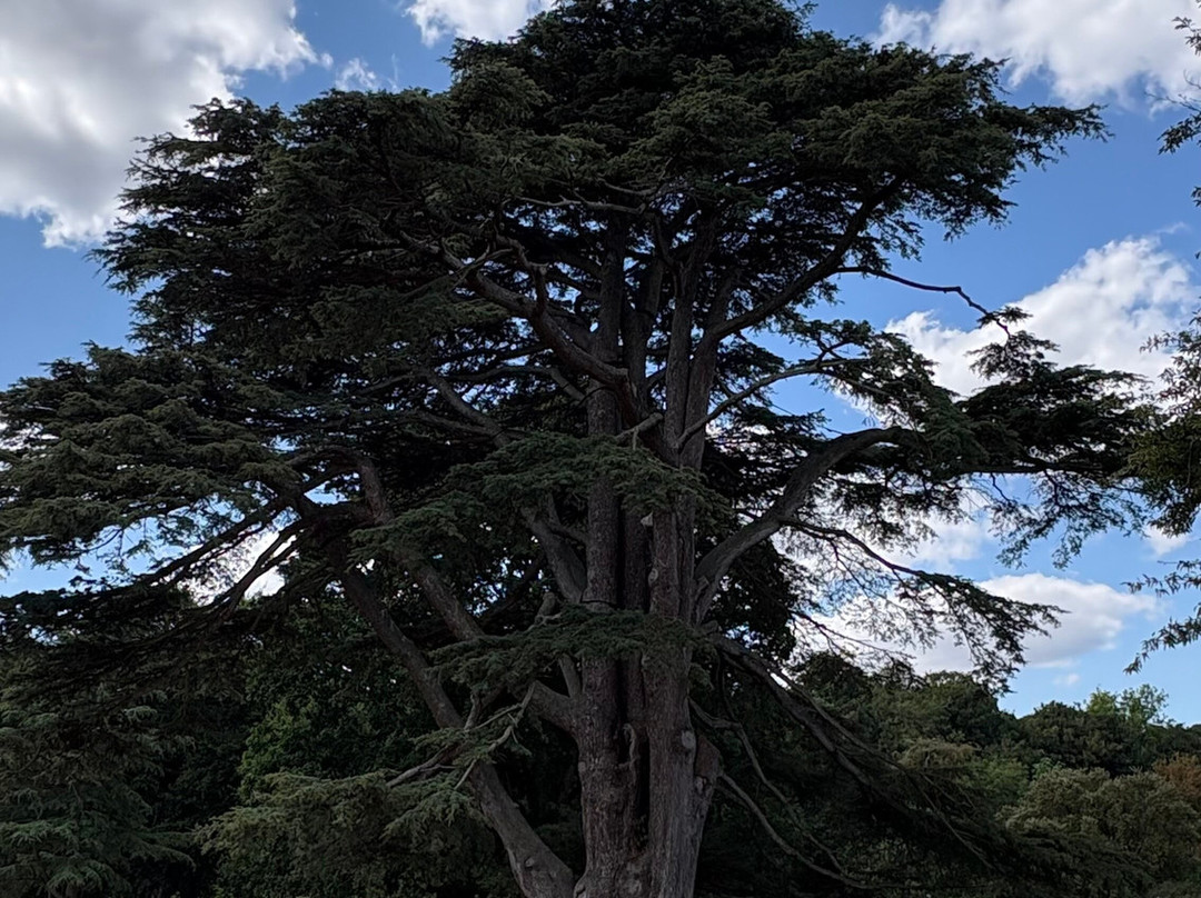 Malahide Castle & Gardens-马拉海德必去景点
