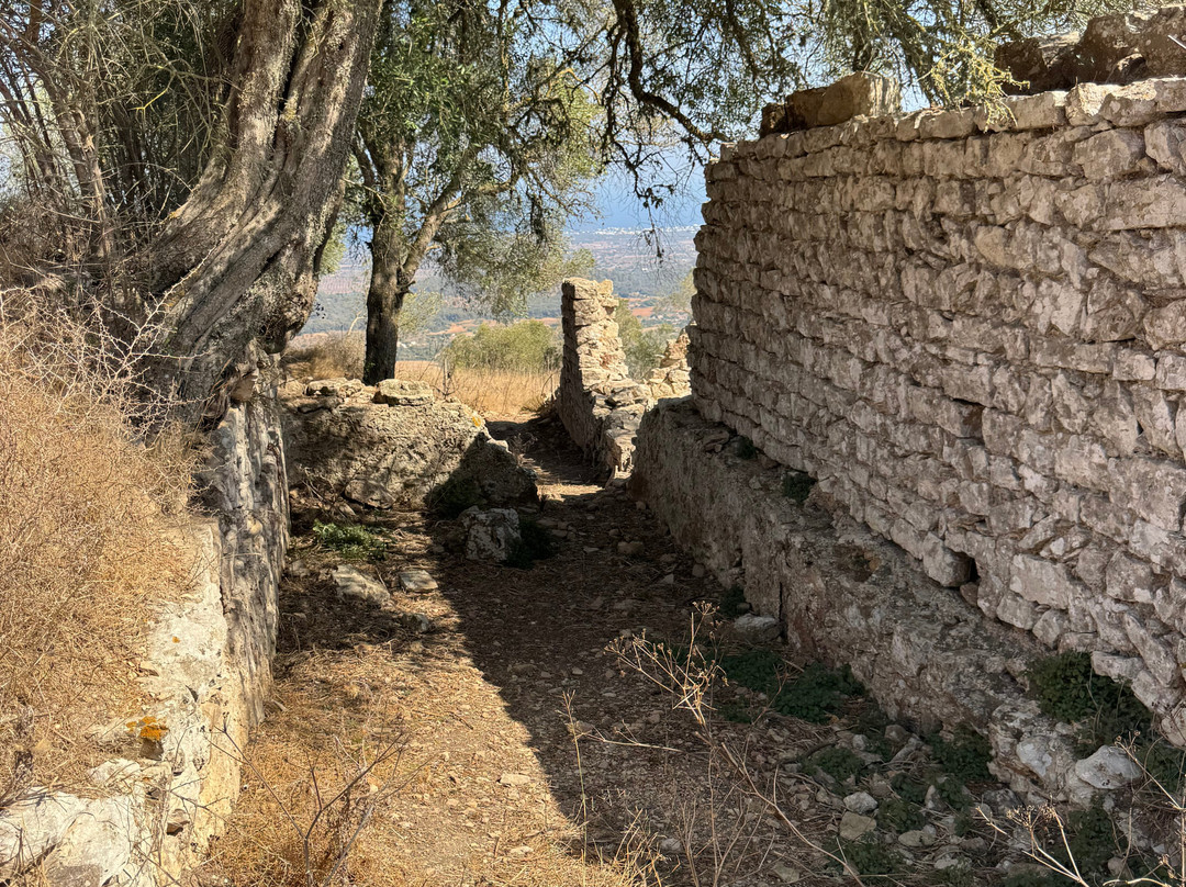 Castell de Santueri-Felanitx必去景点