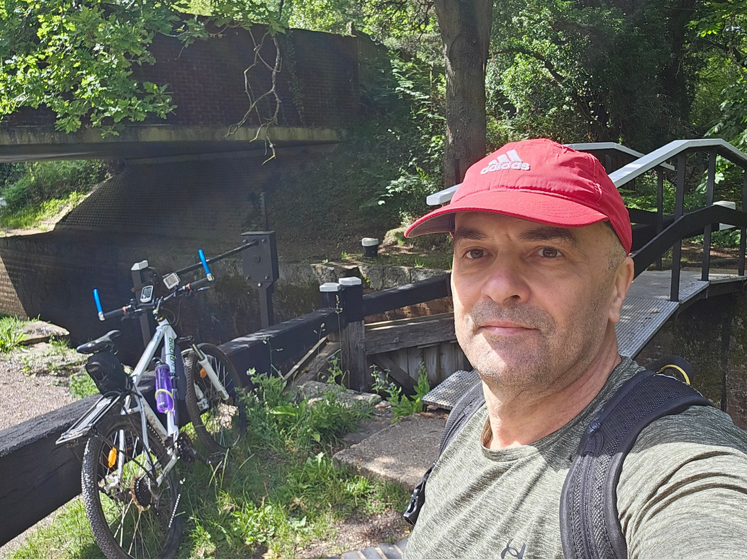 Basingstoke Canal-Mytchett必去景点