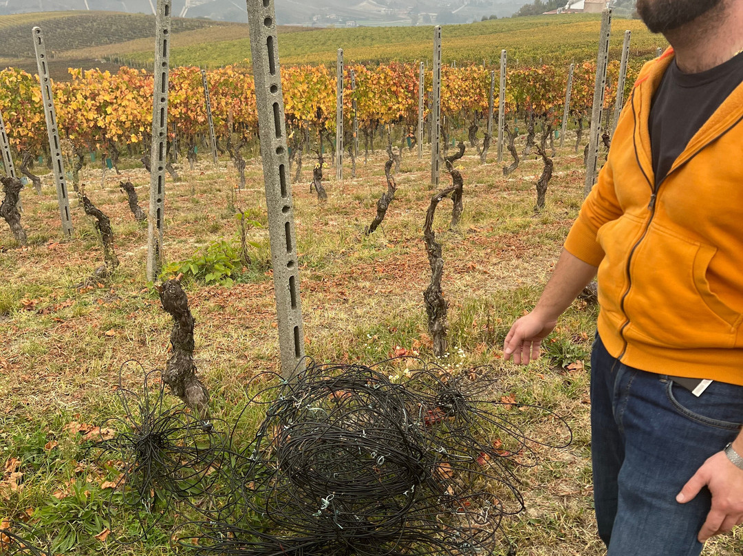 Azienda Agricola Baldi di Burio (Baldi Pierfranco)-Costigliole d'Asti必去景点