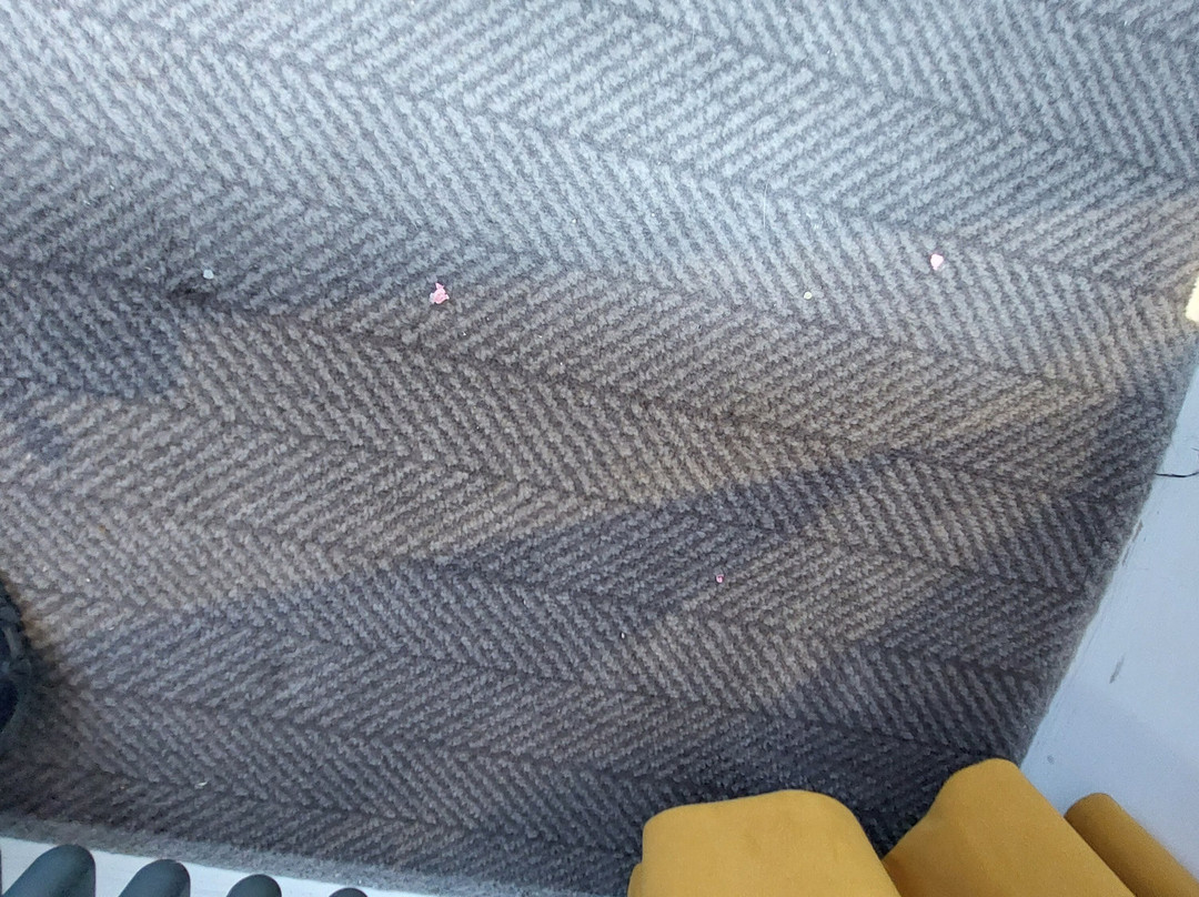 狐狸与科尼酒店主图