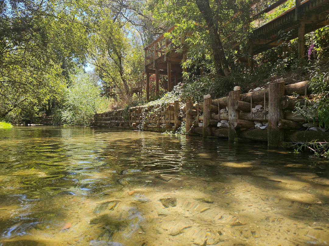 Praia Fluvial dos Olhos d'Agua-Alcanena必去景点