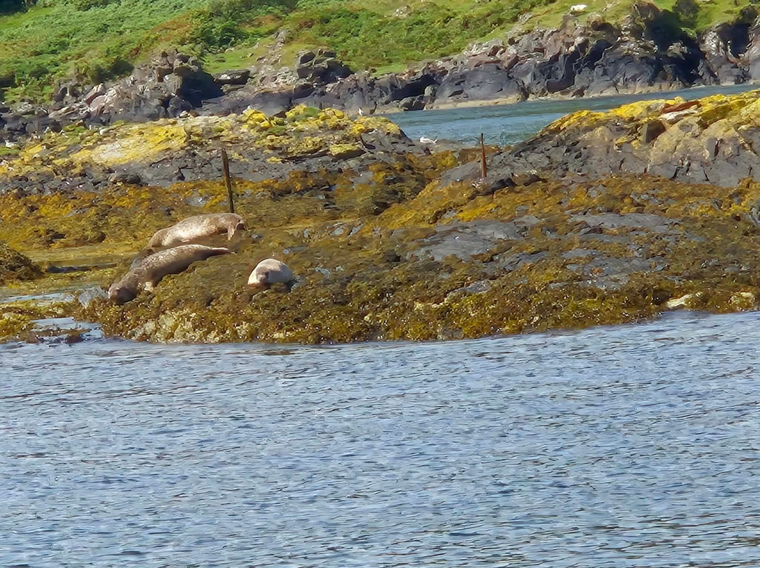 Argyll-Sea Tours-奥本必去景点
