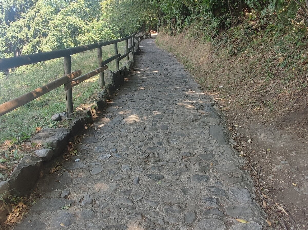 Santuario della Madonna della Ceriola-蒙泰伊索拉必去景点
