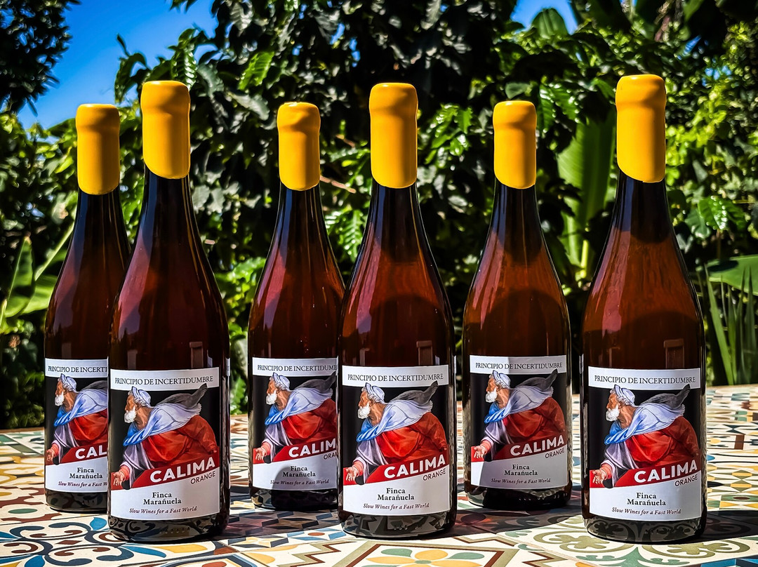 Bodega Finca Marañuela-La Orotava必去景点