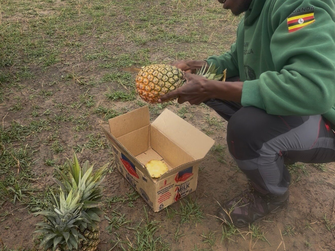 Africa Reveal Safaris-Namugongo必去景点