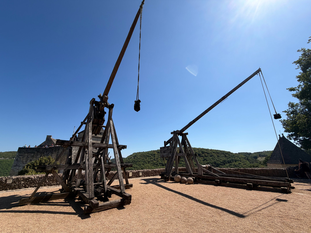 Château de Castelnaud-Castelnaud-la-Chapelle必去景点