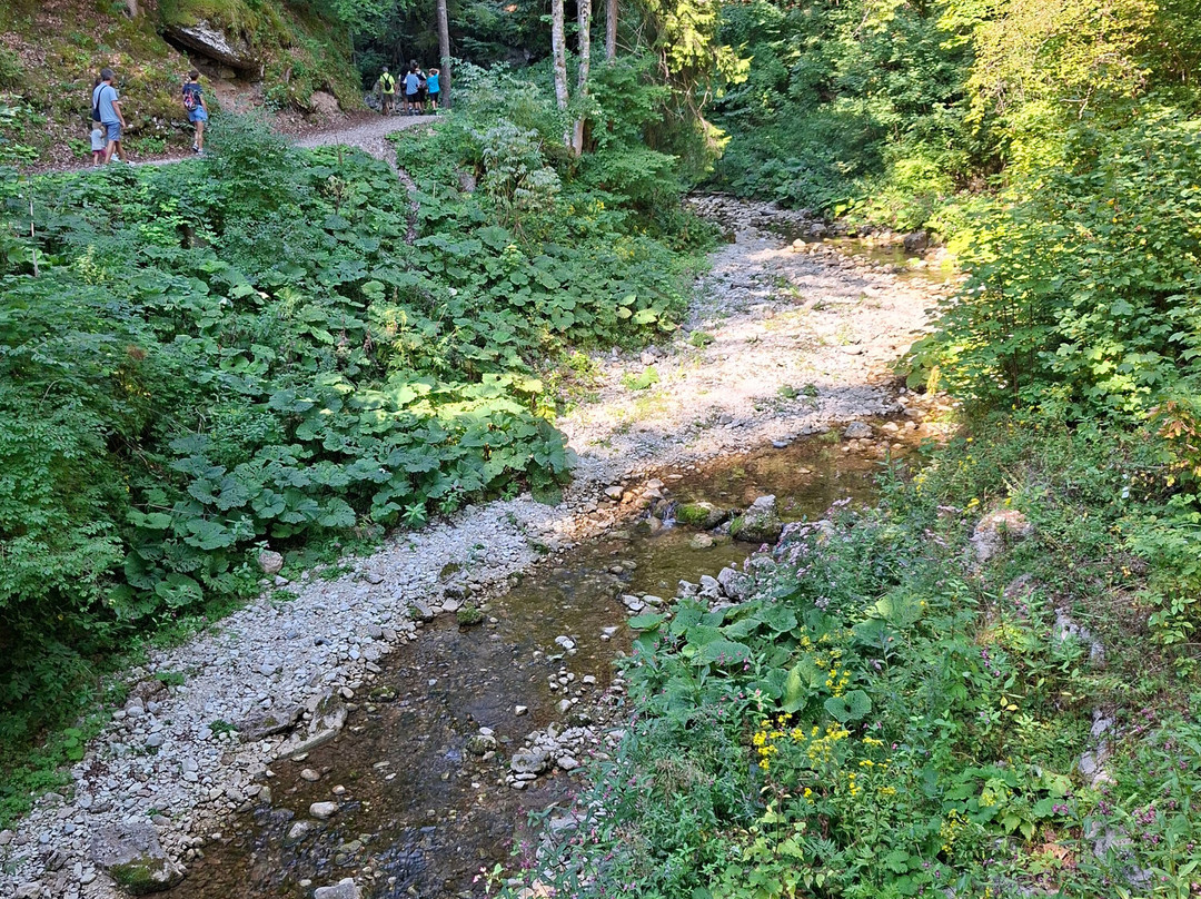 Sentiero dell'Acqua-福尔加里亚必去景点