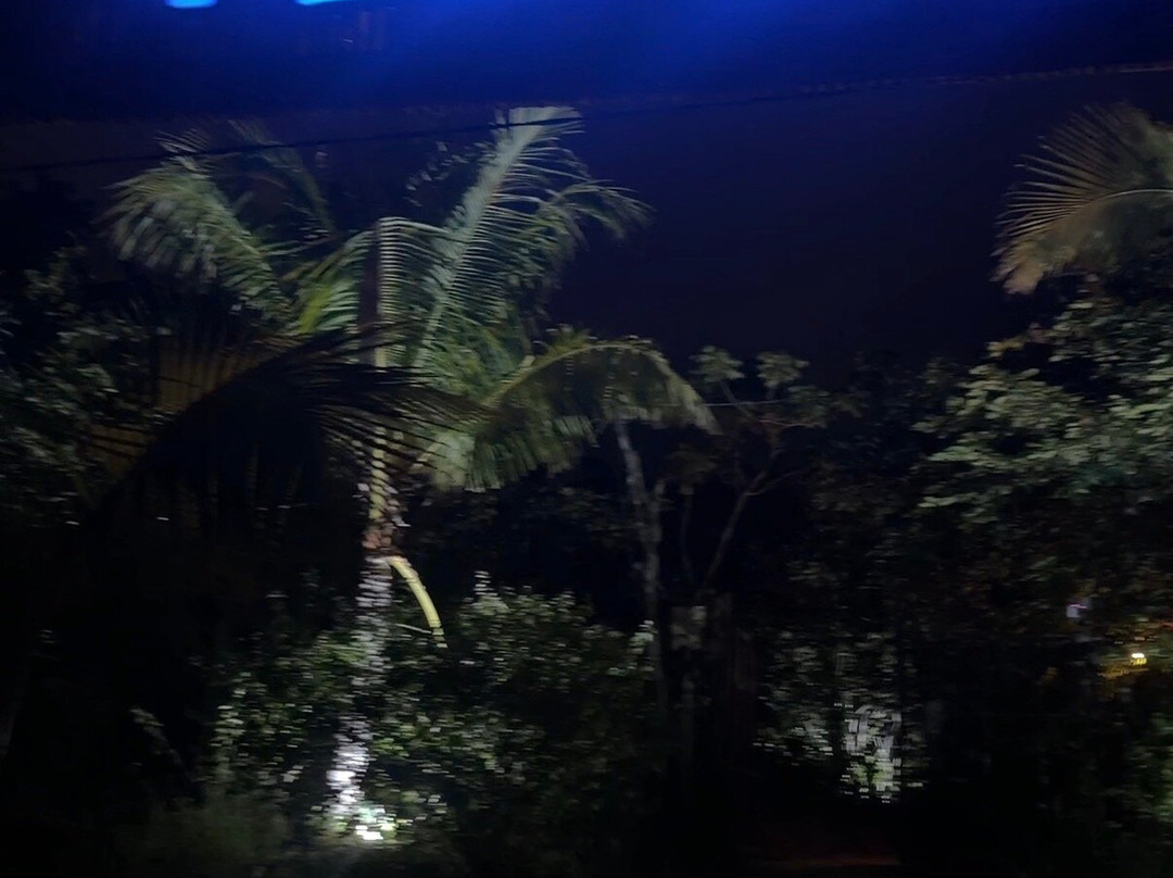 Tortuga Surf Camp-Cam Hai Dong必去景点
