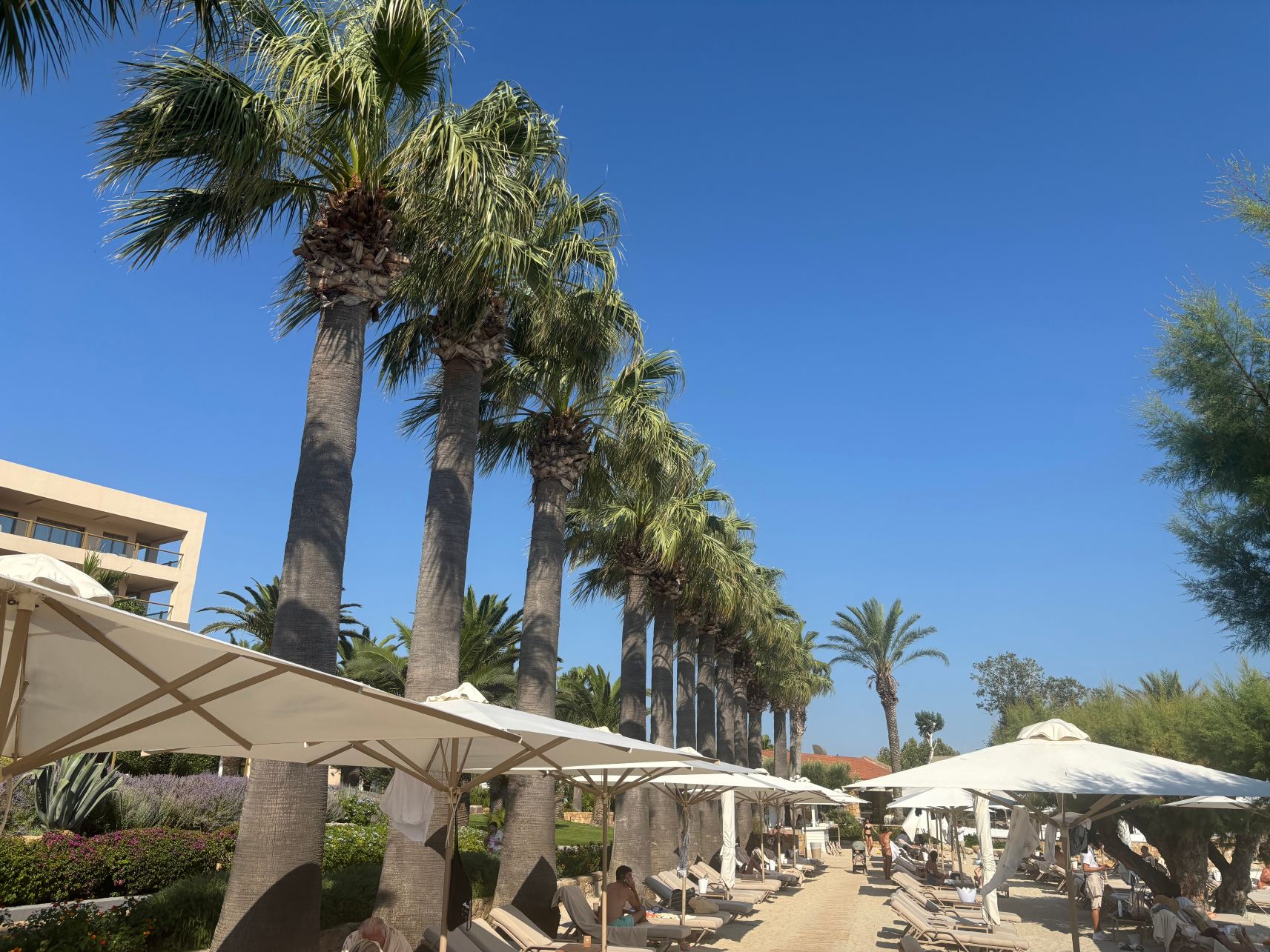 Calas Sani Villas-旅行者