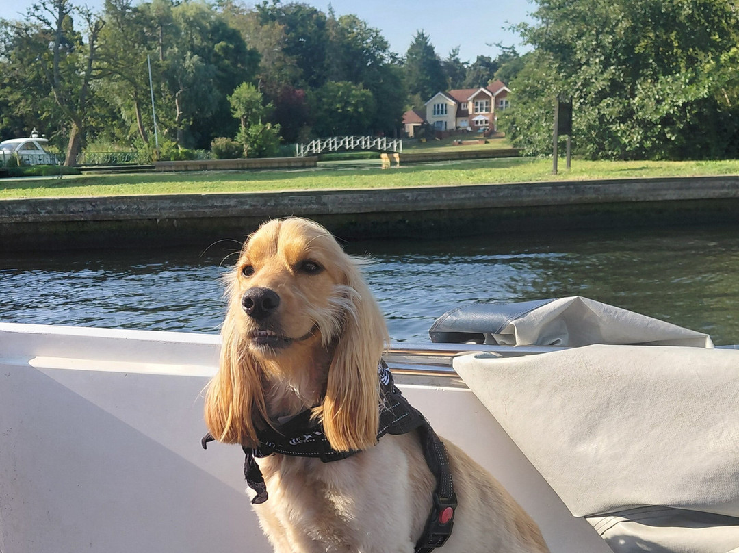 Broads Tours River Trips-罗克瑟姆必去景点