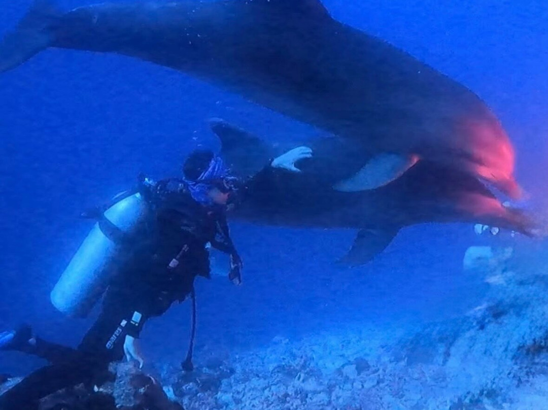 TOPDIVE Rangiroa-阿瓦托鲁必去景点