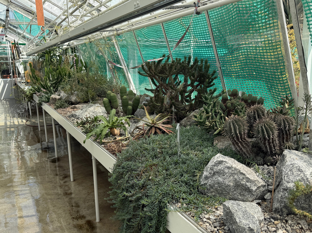 Zurich Succulent Plant Collection-苏黎世必去景点