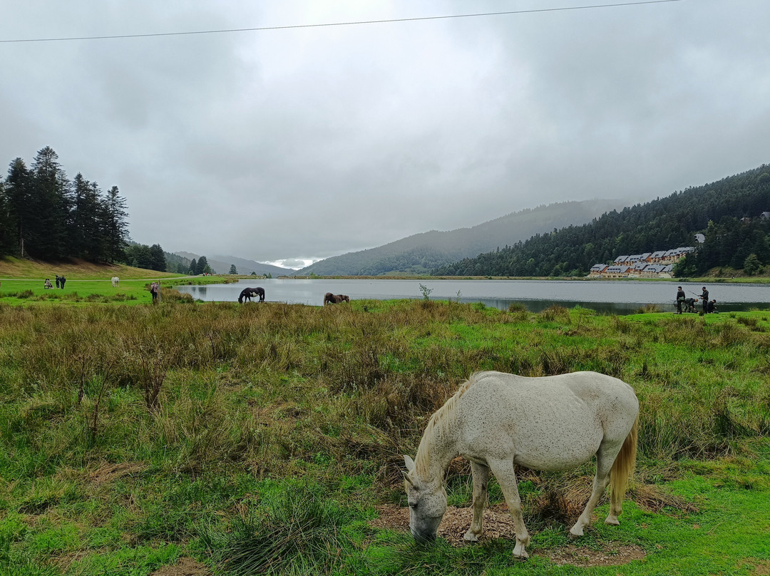 Lac De Payolle-康庞必去景点