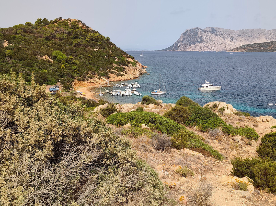 Spiaggia Capo Coda Cavallo-San Teodoro必去景点
