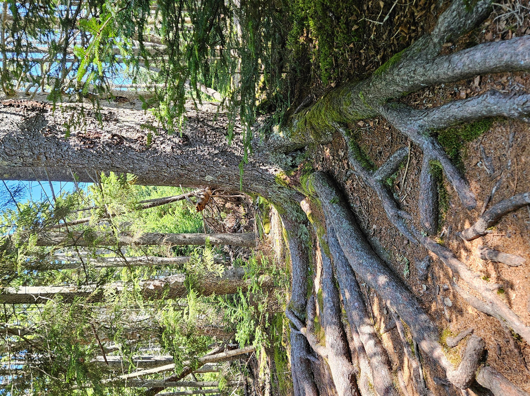 Barred Island Preserve-Deer Isle必去景点
