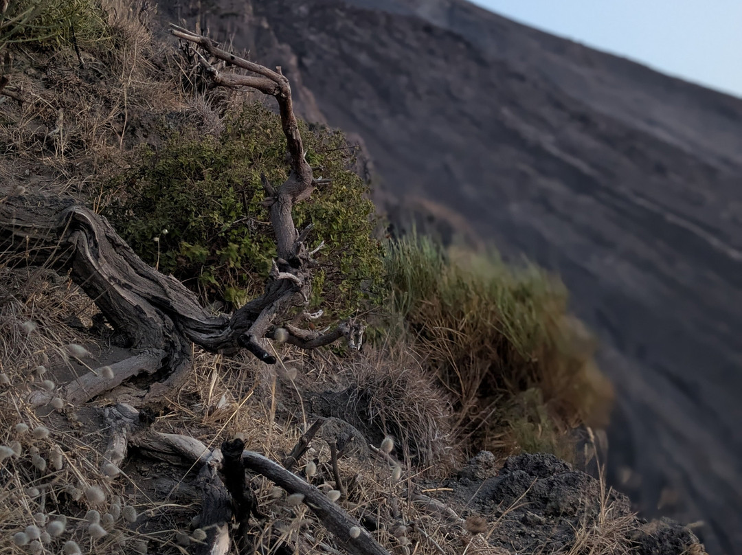 The Volcano Walking