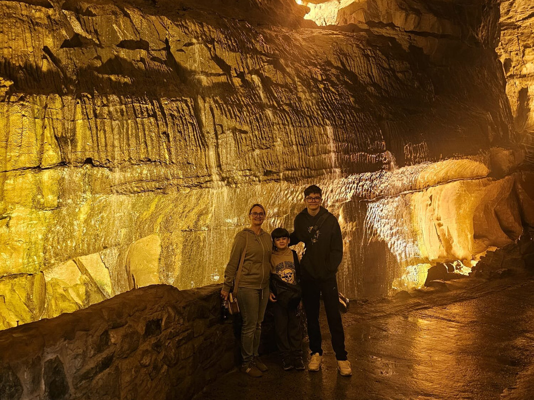 The National Showcaves Centre for Wales-Craig-y-nos必去景点