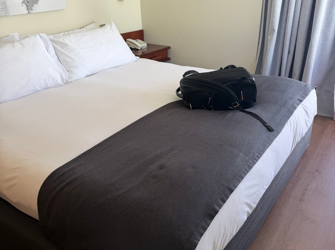 Hotel Valle Nevado主图