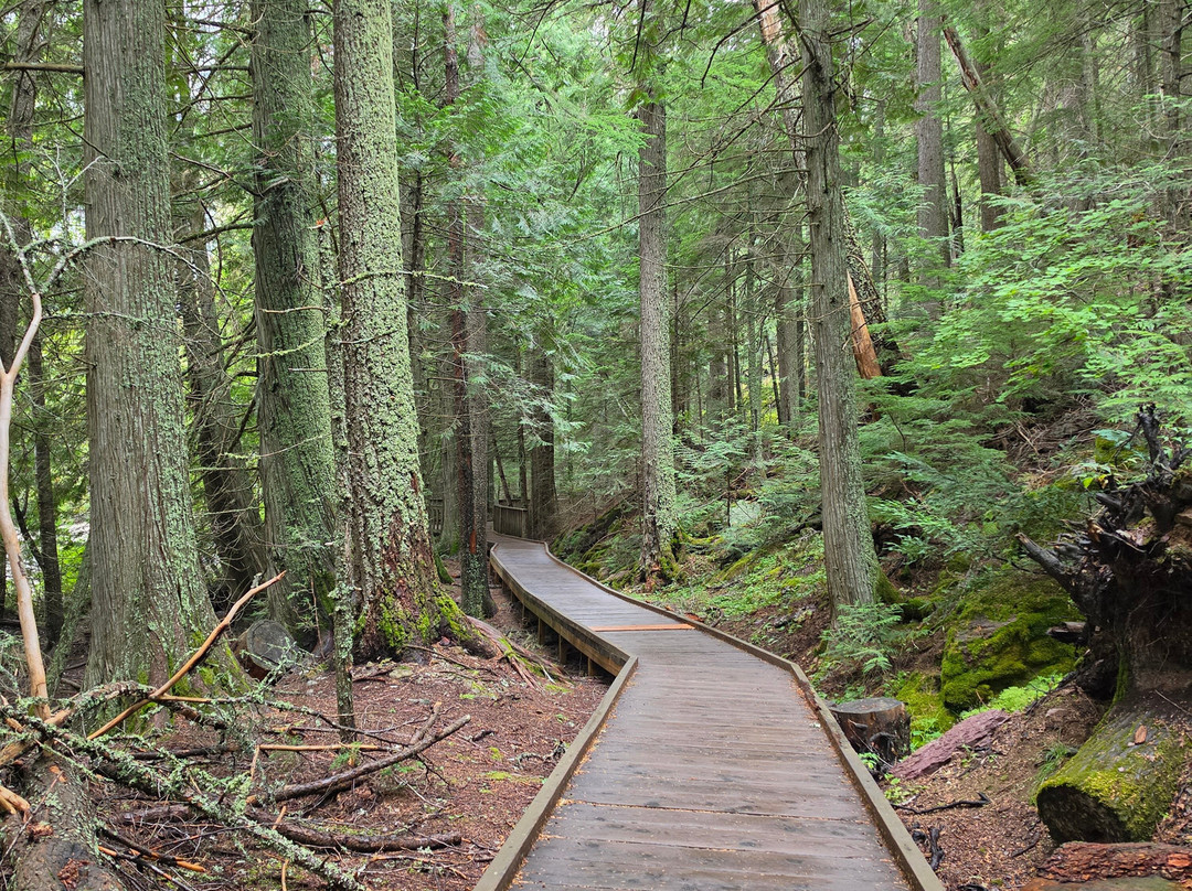 Trail of the Cedars-冰河国家公园必去景点