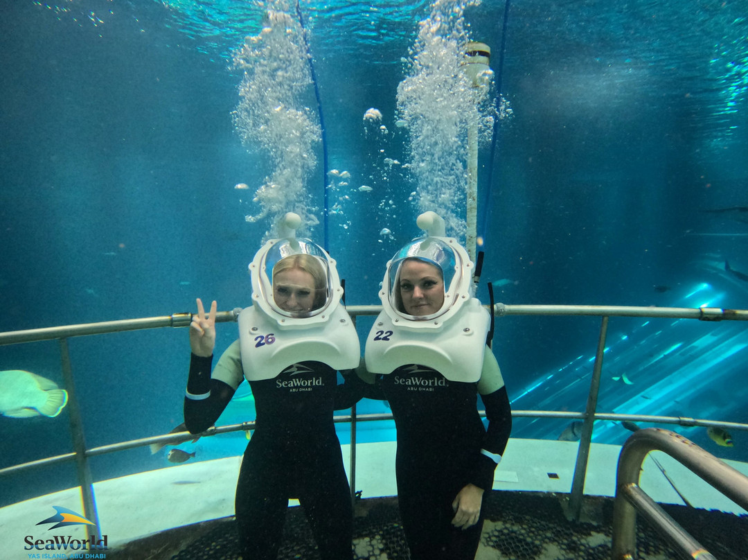 SeaWorld Yas Island Abu Dhabi-阿布扎比必去景点
