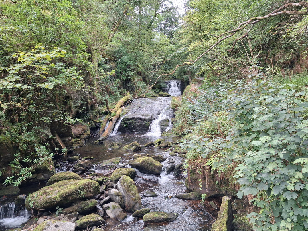 Watersmeet House-林茅斯必去景点