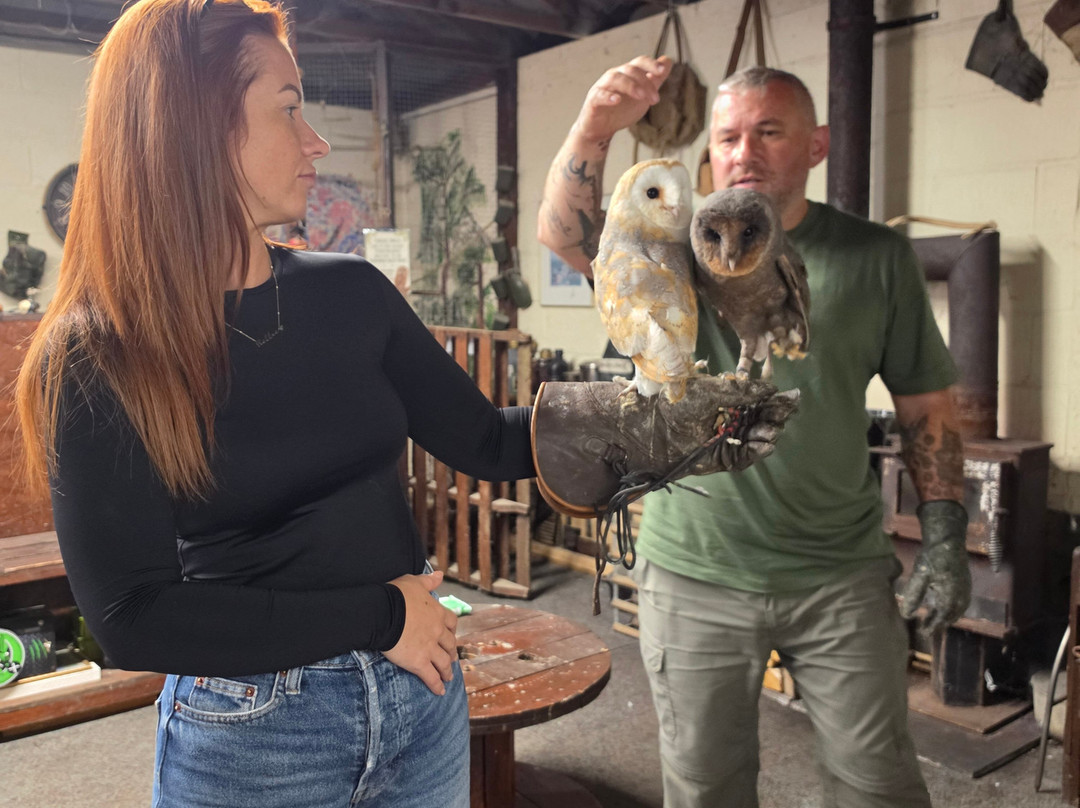 Riverside Falconry-纽卡斯尔必去景点