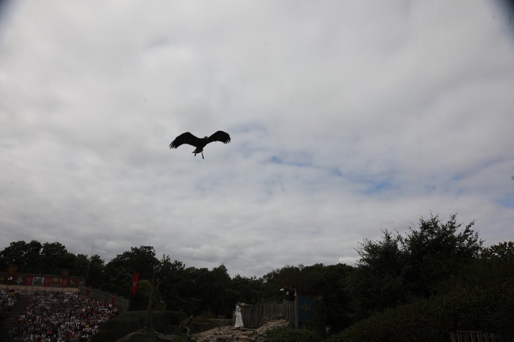 Puy-du-Fou Les Incontournables 3 Le Bal des Oiseaux Fantômes
