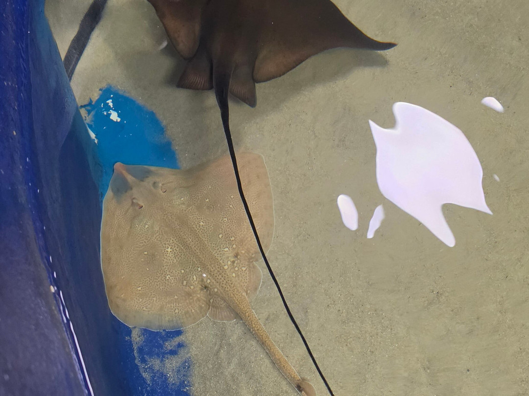 Almunecar Aquarium-阿尔穆涅卡尔必去景点