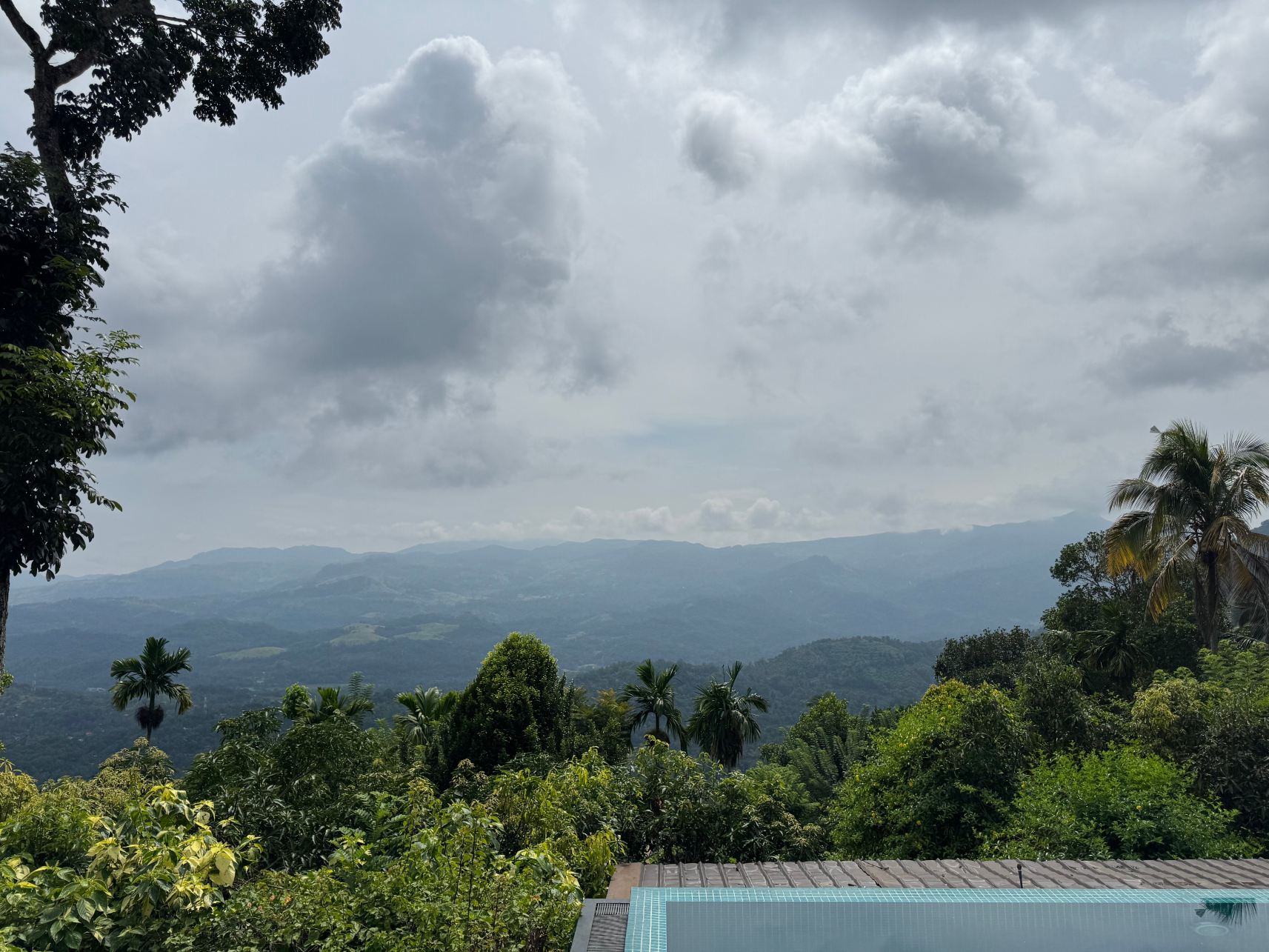 阿伦尼亚自然度假村-旅行者