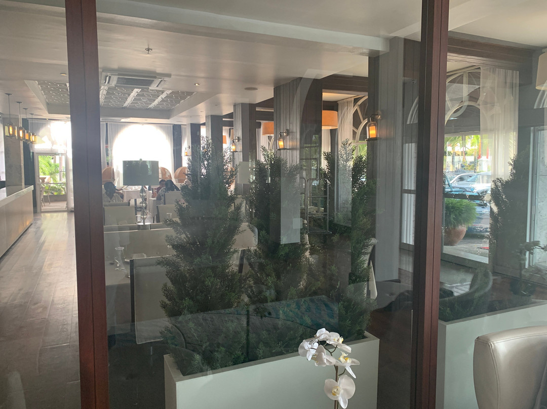 S酒店金斯敦主图