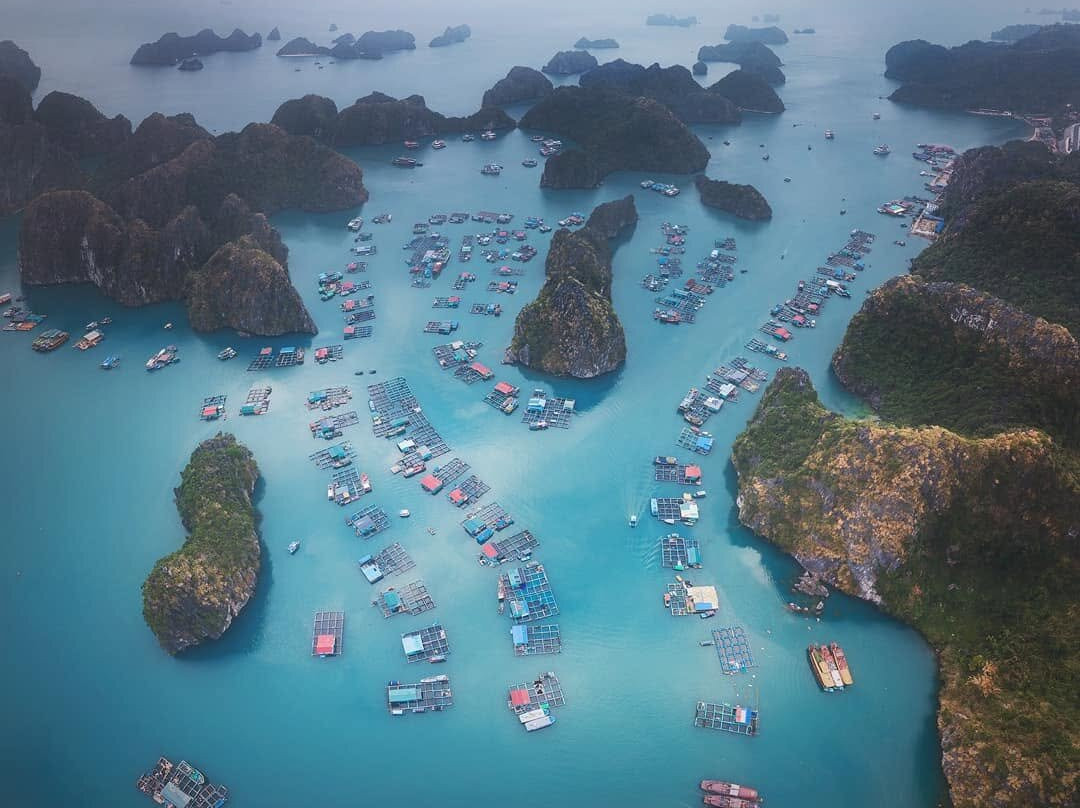 Cua Van Floating Village-下龙湾必去景点