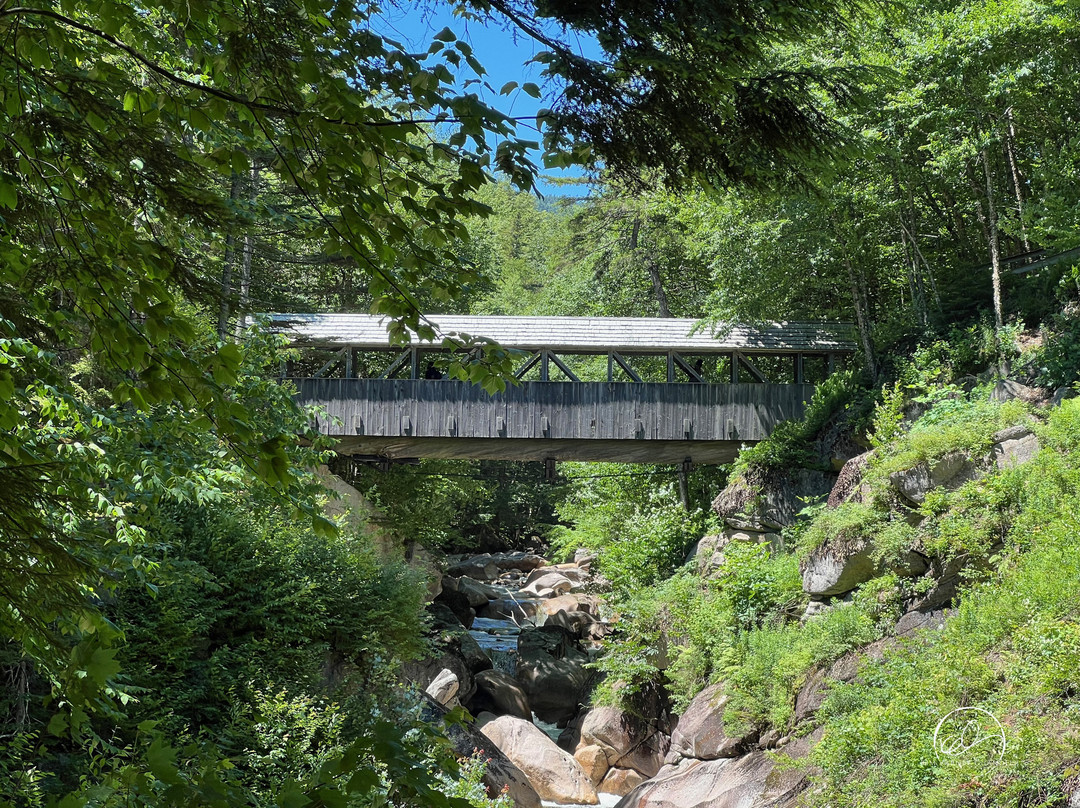 Sentinel Pine Covered Bridge