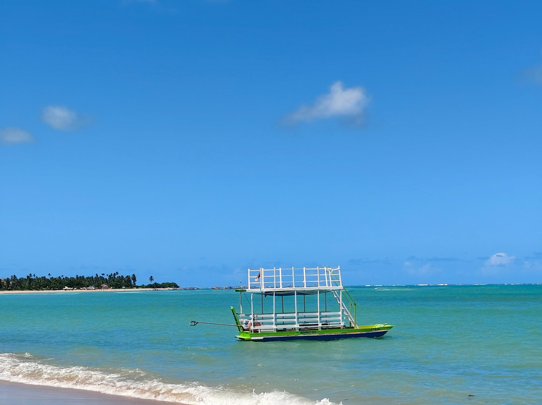 Passeios praias da rota ecológica dos milagres-Porto de Pedras必去景点