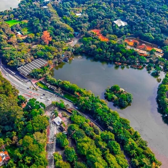 Zoologico De Sao Paulo-圣保罗必去景点