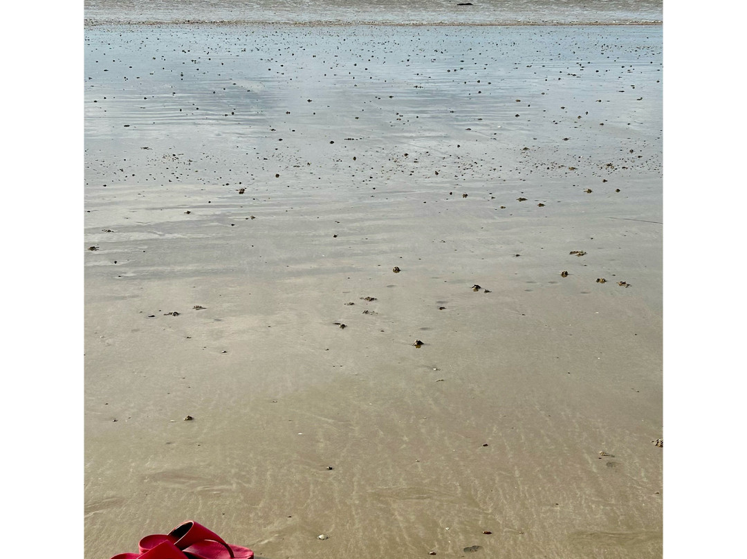 Climping Beach-Climping必去景点