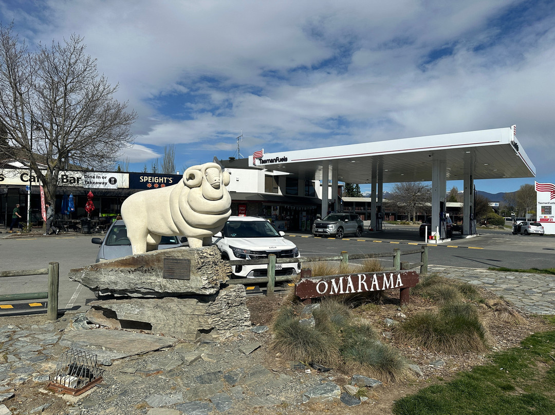 Omarama Sheep Statue-奥马拉马必去景点