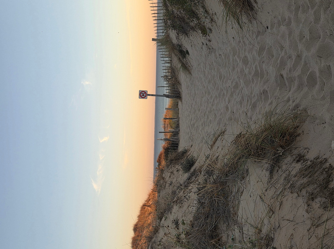 Plage Gros Jonc-雷岛必去景点