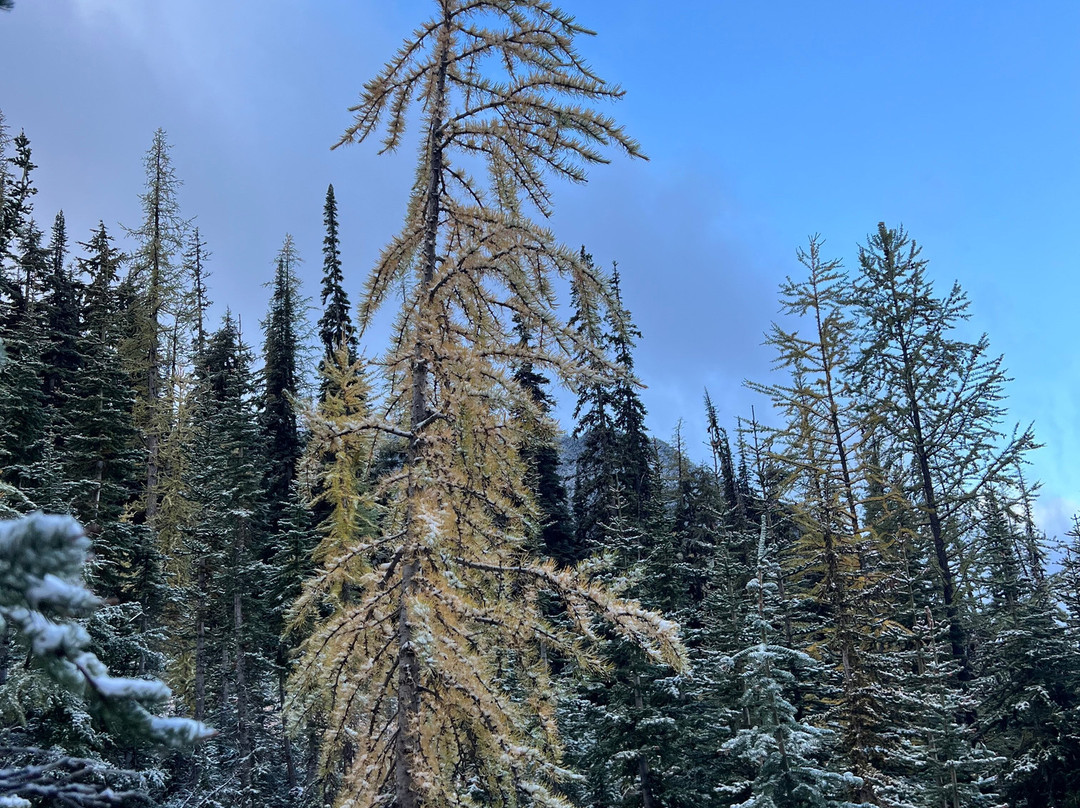 Blue Lake Trail-North Cascades National Park必去景点