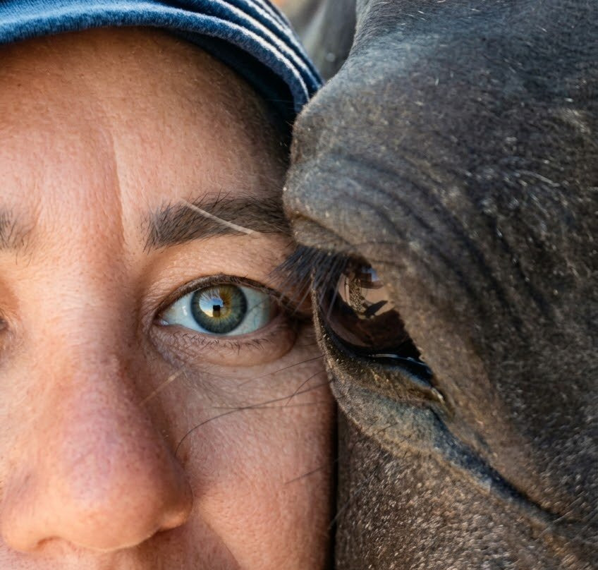 Horse Safari Hurghada-赫尔格达必去景点