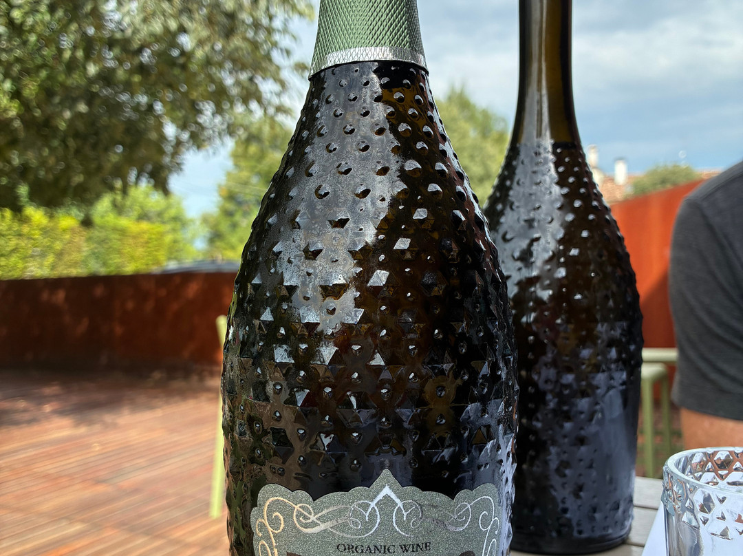 Cantina Pizzolato Società Benefit - Organic Wine Experience-维洛尔巴必去景点
