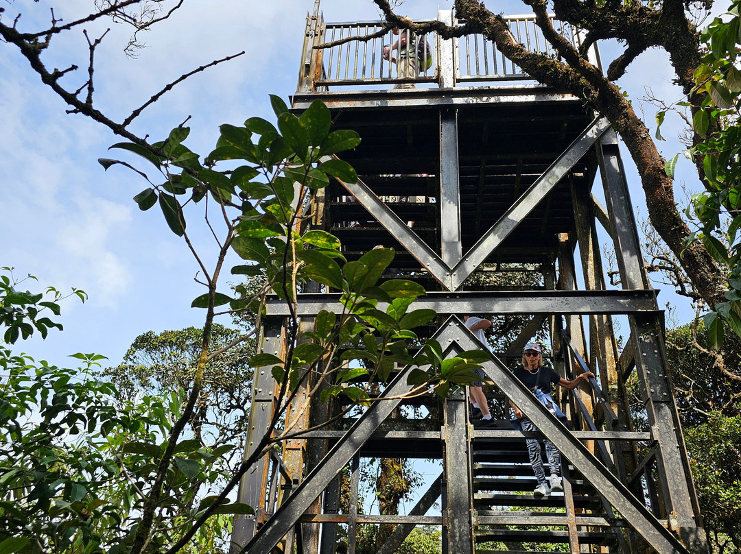 Mossy Forest Eco Park-碧兰璋必去景点