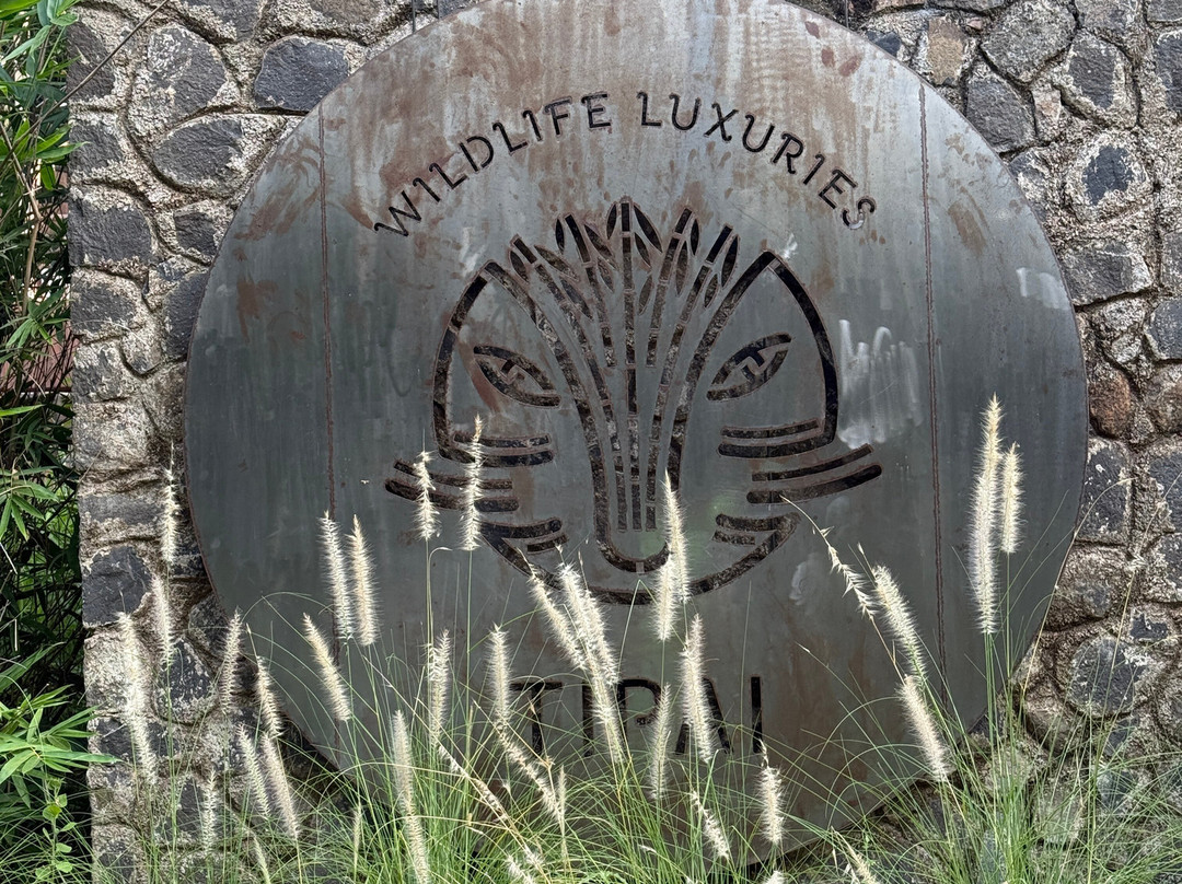Tipai - Wildlife Luxuries主图