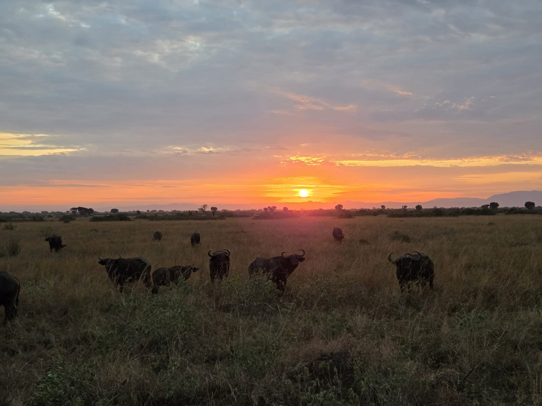 Ngoni Safaris Uganda-坎帕拉必去景点