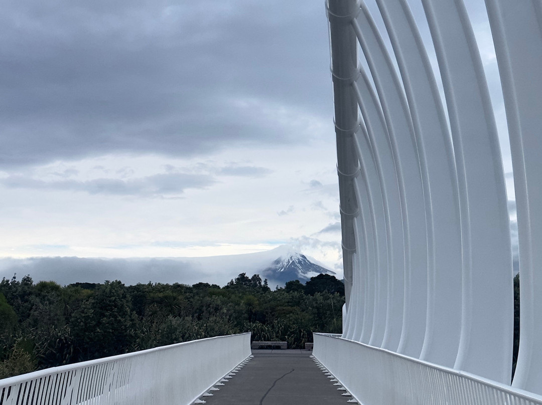 Te Rewa Rewa Bridge-新普利默斯必去景点