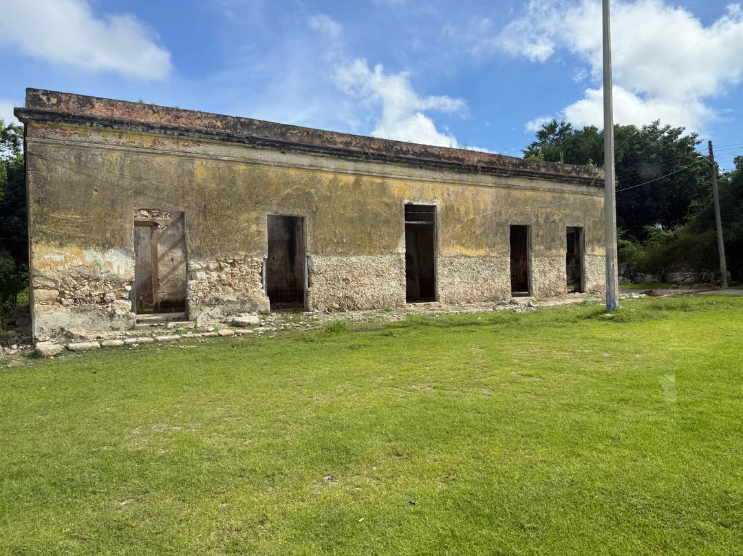 YucatanCenote .com Eco-Adventures-Progreso必去景点