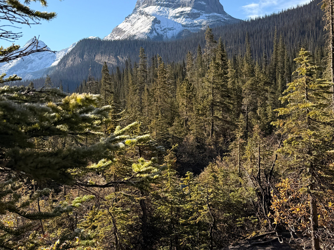 Canadian Rockies Experience-坎莫尔必去景点
